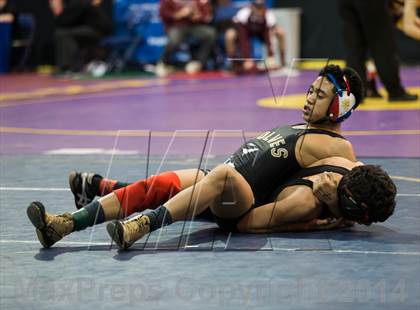 Thumbnail 3 in CIF SJS Masters Wrestling Championships photogallery.