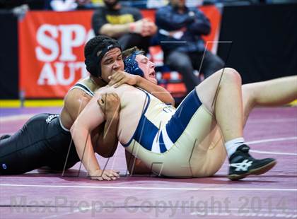 Thumbnail 1 in CIF SJS Masters Wrestling Championships photogallery.