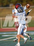 Photo from the gallery "Rigby @ Sky View"