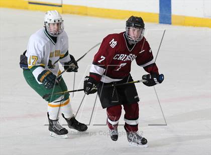 Thumbnail 3 in Morristown-Beard @ Morris Knolls photogallery.