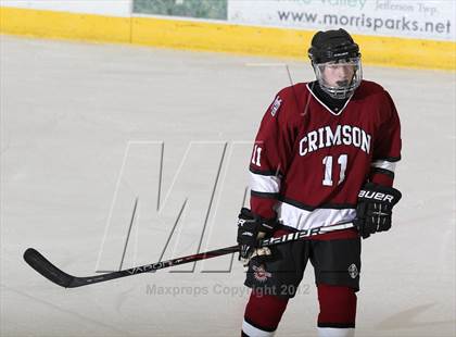 Thumbnail 3 in Morristown-Beard @ Morris Knolls photogallery.