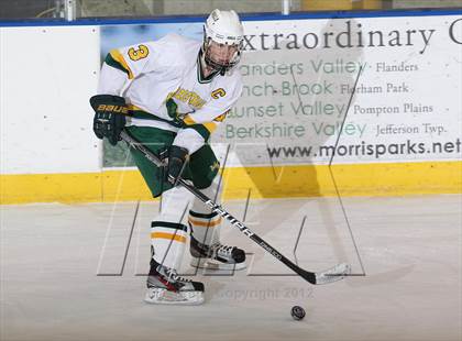 Thumbnail 3 in Morristown-Beard @ Morris Knolls photogallery.