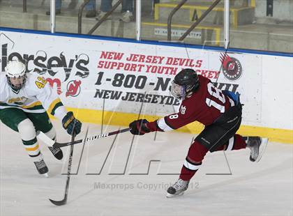 Thumbnail 1 in Morristown-Beard @ Morris Knolls photogallery.