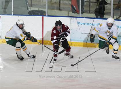 Thumbnail 3 in Morristown-Beard @ Morris Knolls photogallery.