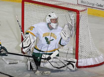 Thumbnail 1 in Morristown-Beard @ Morris Knolls photogallery.