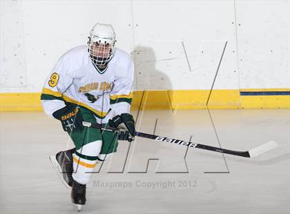 Thumbnail 2 in Morristown-Beard @ Morris Knolls photogallery.