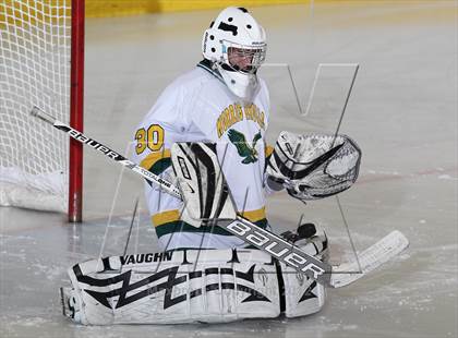 Thumbnail 1 in Morristown-Beard @ Morris Knolls photogallery.