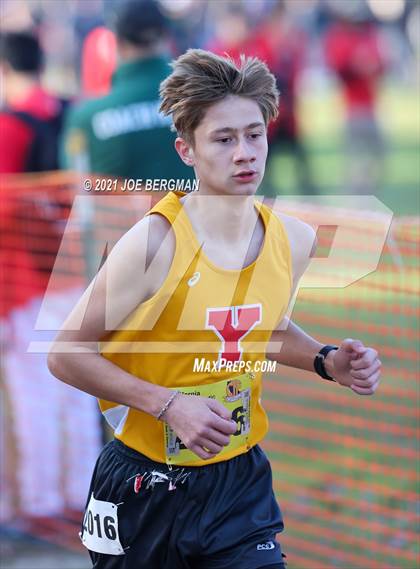 Thumbnail 1 in CIF State Cross Country Championships (Boys D4 Race) photogallery.