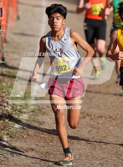 Thumbnail 2 in CIF State Cross Country Championships (Boys D4 Race) photogallery.