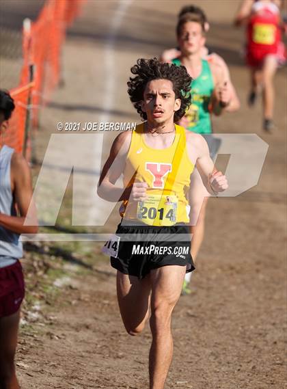Thumbnail 3 in CIF State Cross Country Championships (Boys D4 Race) photogallery.