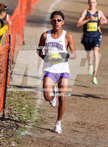 Thumbnail 2 in CIF State Cross Country Championships (Boys D4 Race) photogallery.