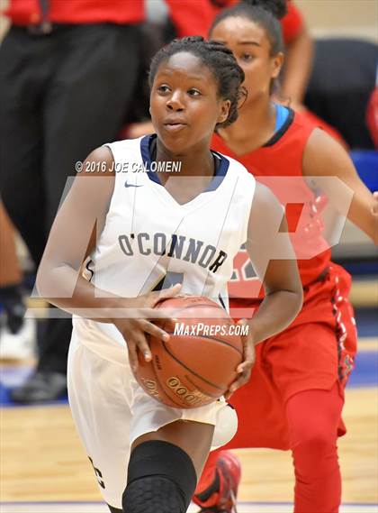 Thumbnail 2 in O'Connor vs Wagner photogallery.