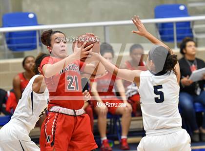 Thumbnail 1 in O'Connor vs Wagner photogallery.