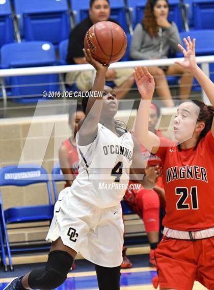 Thumbnail 1 in O'Connor vs Wagner photogallery.