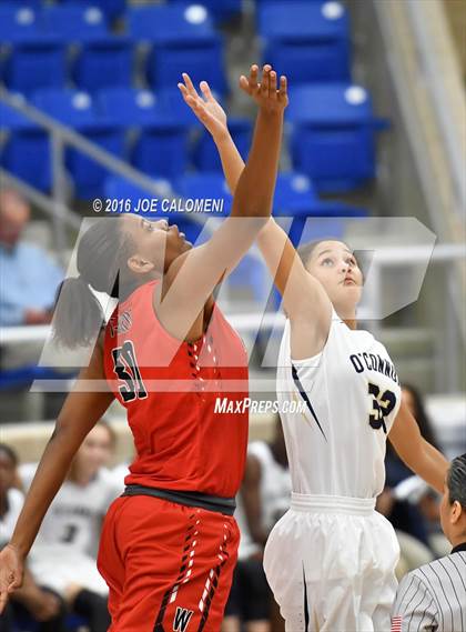 Thumbnail 3 in O'Connor vs Wagner photogallery.
