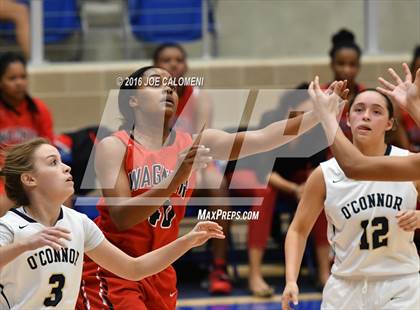 Thumbnail 2 in O'Connor vs Wagner photogallery.