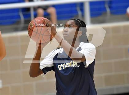 Thumbnail 3 in O'Connor vs Wagner photogallery.