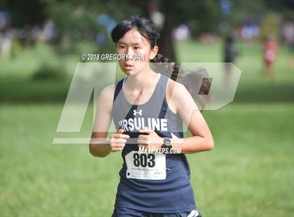 Thumbnail 3 in Mt. Carmel Invite photogallery.