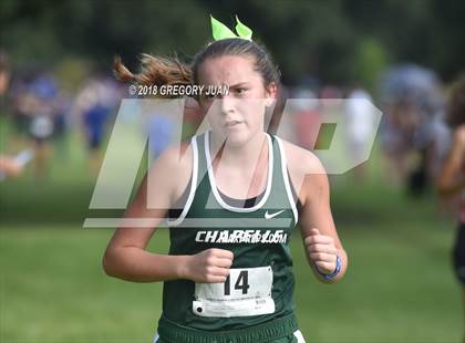 Thumbnail 3 in Mt. Carmel Invite photogallery.