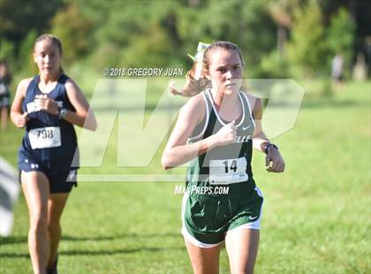 Thumbnail 3 in Mt. Carmel Invite photogallery.