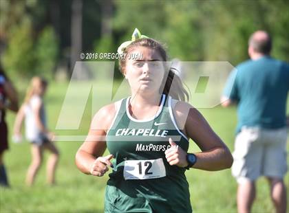 Thumbnail 3 in Mt. Carmel Invite photogallery.