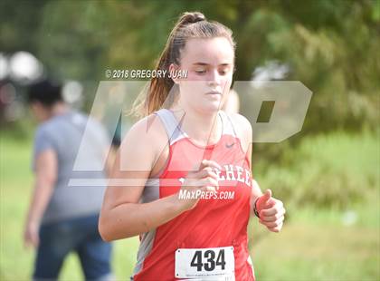 Thumbnail 3 in Mt. Carmel Invite photogallery.