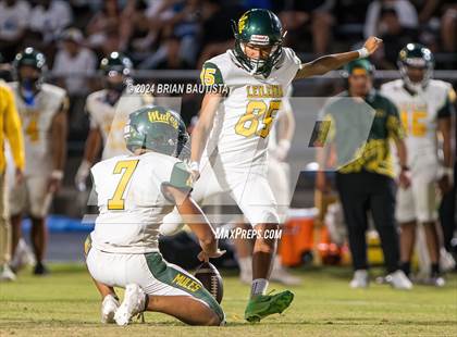 Thumbnail 3 in Leilehua @ Moanalua photogallery.