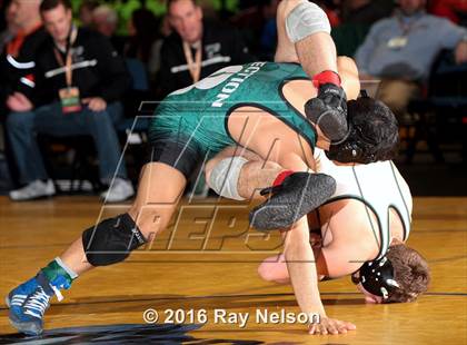 Thumbnail 2 in NYSPHSAA Championships (Division I Finals 145-285 Lbs) photogallery.