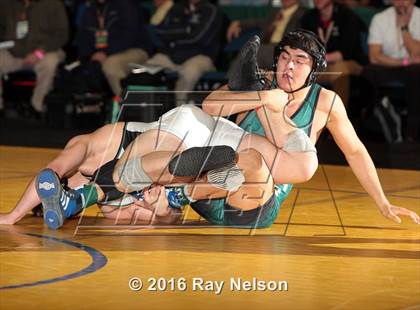Thumbnail 2 in NYSPHSAA Championships (Division I Finals 145-285 Lbs) photogallery.