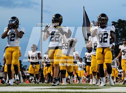 Thumbnail 2 in Klein Oak vs Klein Cain photogallery.