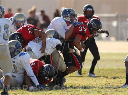 Thumbnail 3 in Poly @ Arleta photogallery.