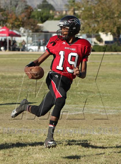 Thumbnail 2 in Poly @ Arleta photogallery.