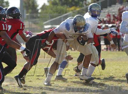 Thumbnail 1 in Poly @ Arleta photogallery.