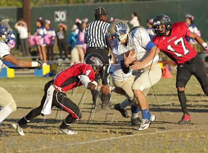 Thumbnail 3 in Poly @ Arleta photogallery.