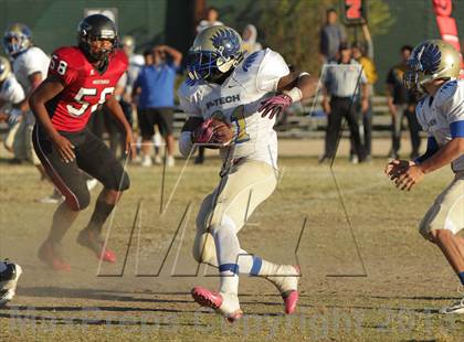 Thumbnail 1 in Poly @ Arleta photogallery.