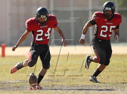 Thumbnail 3 in Poly @ Arleta photogallery.