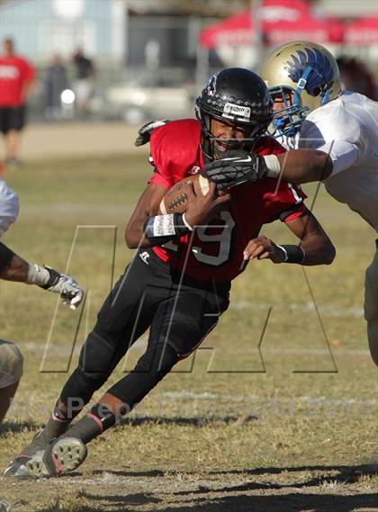 Thumbnail 3 in Poly @ Arleta photogallery.