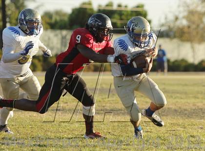 Thumbnail 2 in Poly @ Arleta photogallery.
