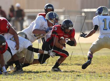 Thumbnail 1 in Poly @ Arleta photogallery.