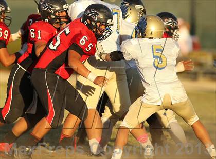 Thumbnail 2 in Poly @ Arleta photogallery.