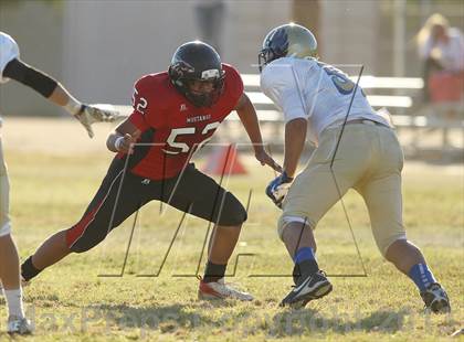 Thumbnail 2 in Poly @ Arleta photogallery.