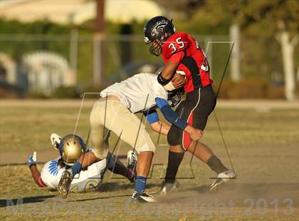 Thumbnail 1 in Poly @ Arleta photogallery.
