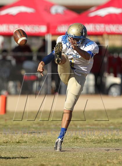 Thumbnail 3 in Poly @ Arleta photogallery.