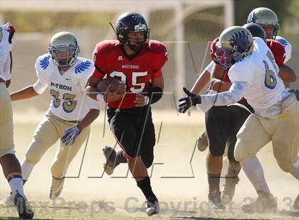 Thumbnail 3 in Poly @ Arleta photogallery.