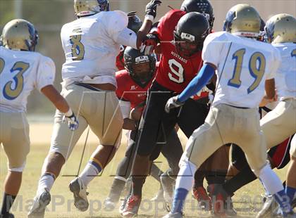 Thumbnail 1 in Poly @ Arleta photogallery.