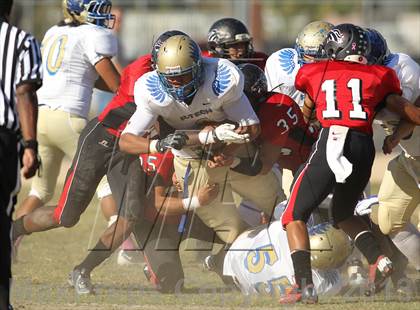 Thumbnail 1 in Poly @ Arleta photogallery.
