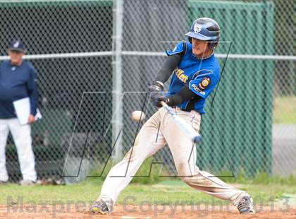 Thumbnail 3 in Bartlett vs. Juneau photogallery.