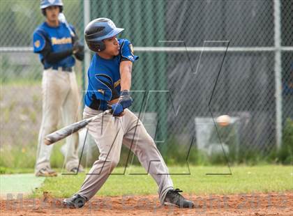 Thumbnail 3 in Bartlett vs. Juneau photogallery.