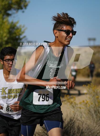 Thumbnail 1 in Golden League Finals photogallery.