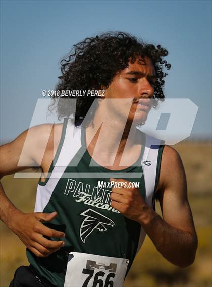 Thumbnail 2 in Golden League Finals photogallery.